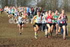 Senior men, 2020 British Athletics Inter Counties Cross Country Champs., Prestwold Hall, Loughborough. Photo: David T. Hewitson/Sports for All Pics